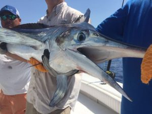 42 ft Fishing Charter - Tulum Boat Rentals