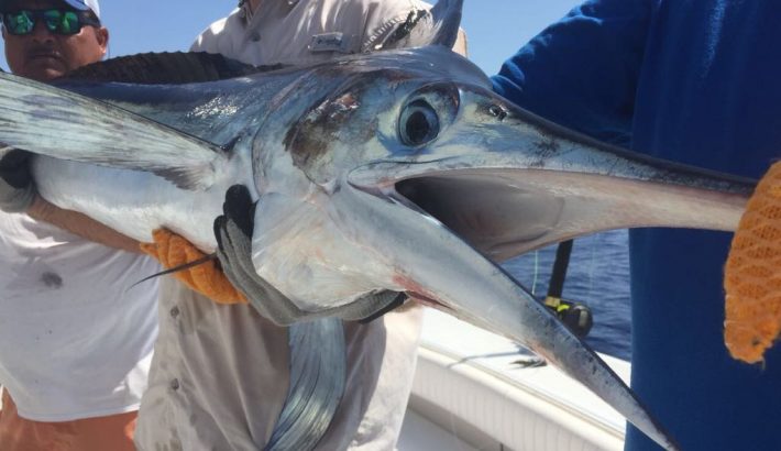 tulum fishing