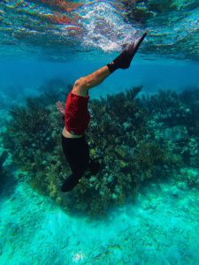 Snorkeler diving underwater near coral reef in clear blue water off the coast of Tulum, Mexico.
