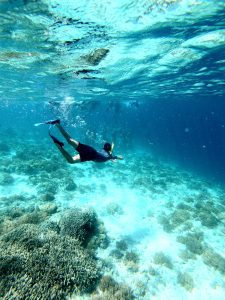 Calm turquoise water and coral reef at Soliman Bay, a quiet snorkeling spot north of Tulum.